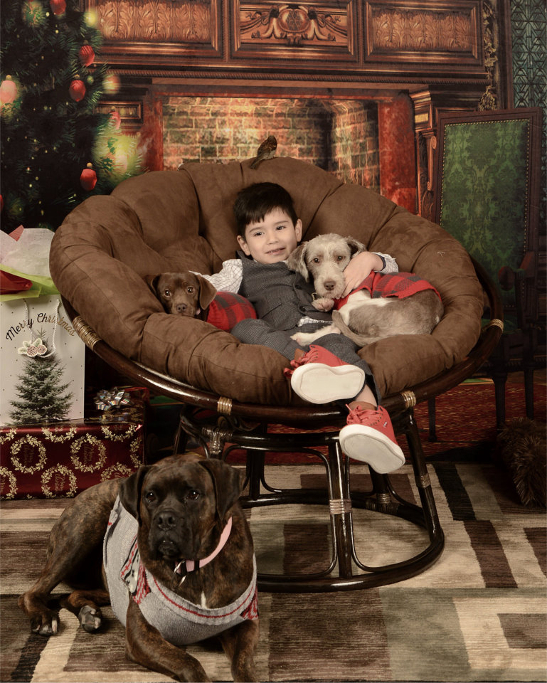 Jest kikin' back with the pooches